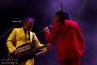 Information Society