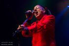 Information Society