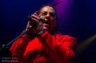 Information Society