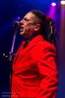 Information Society
