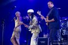 Nile Rodgers & Chic