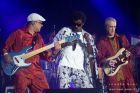 Seu Jorge