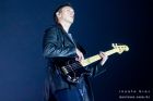 The XX
