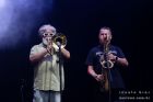 Os Paralamas do Sucesso