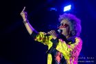 Homenagem Rita Lee-33