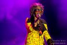 Homenagem Rita Lee-8