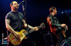 Social Distortion