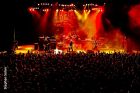 Social Distortion