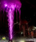 Medusas