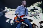 Dave Farrell