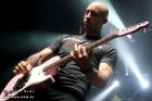 Jeff Stinco