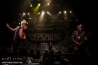 Offspring