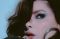 Pitty_2026_thumb.jpg